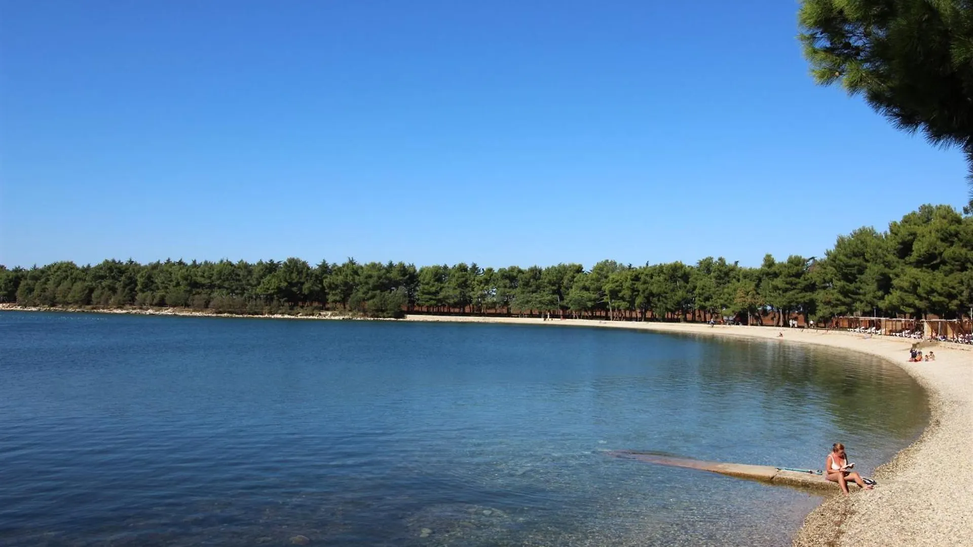 Dada A3 Apartment Novigrad  Croatia